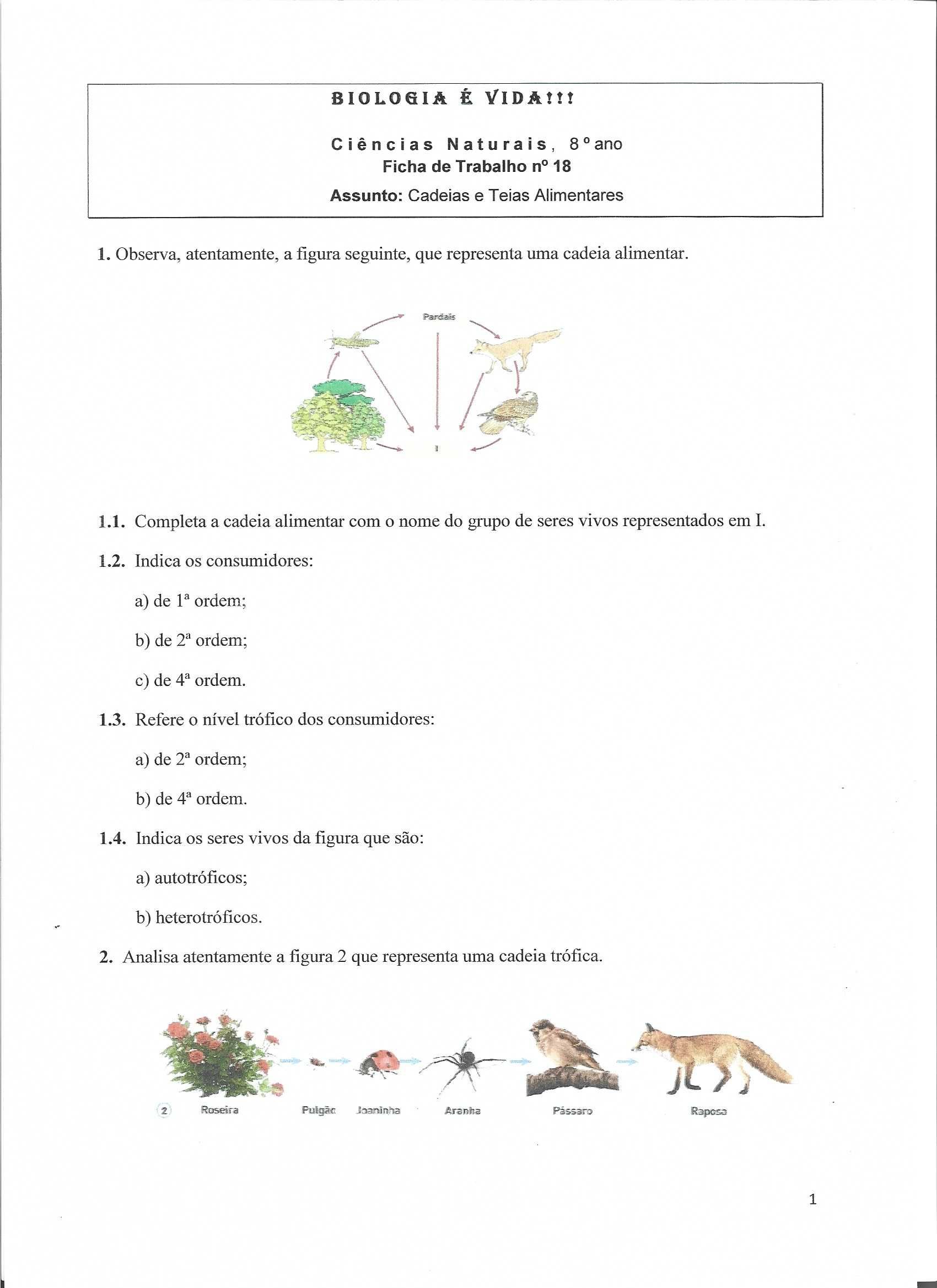 Material de apoio à disciplina de Ciências Naturais para o 8º ano