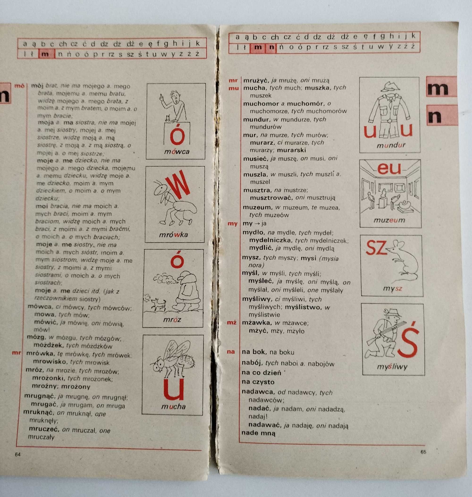 Słownik ilustrowany ortograficzno gramatyczny dla klas I - III