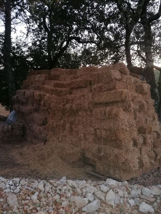 Fardos de palha de Aveia, Triticale e Erva Nascediça