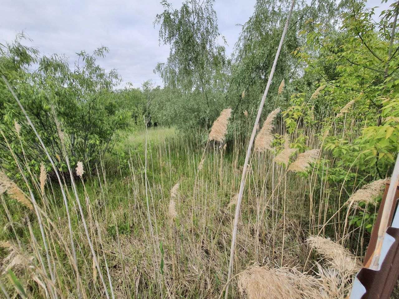 Козин, последний участок на закрытой улице, заезд в КГ Золотые Ворота