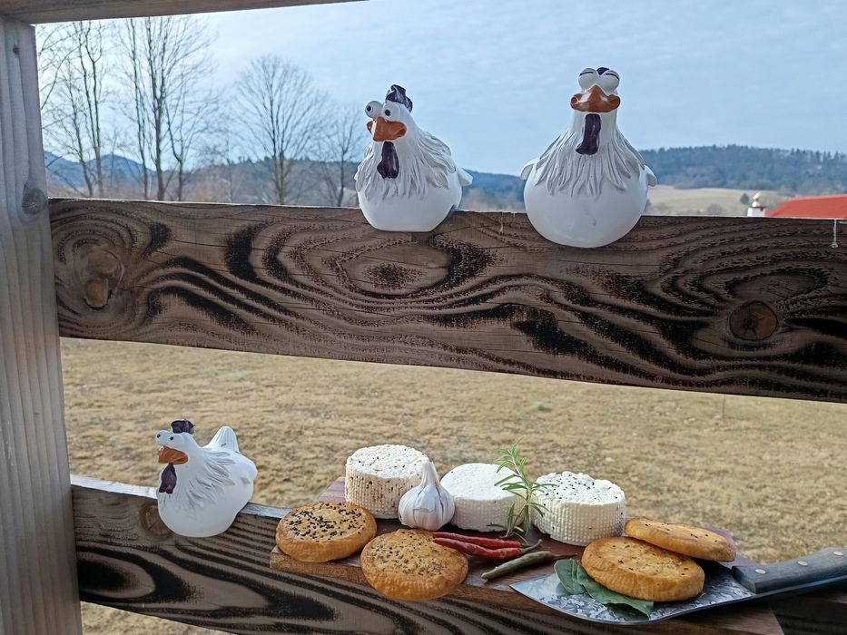 Domki w Bieszczadach noclegi Bieszczady ,, Dzika Jabłoń,,