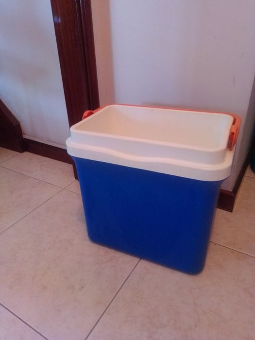 Arca congeladora portátil