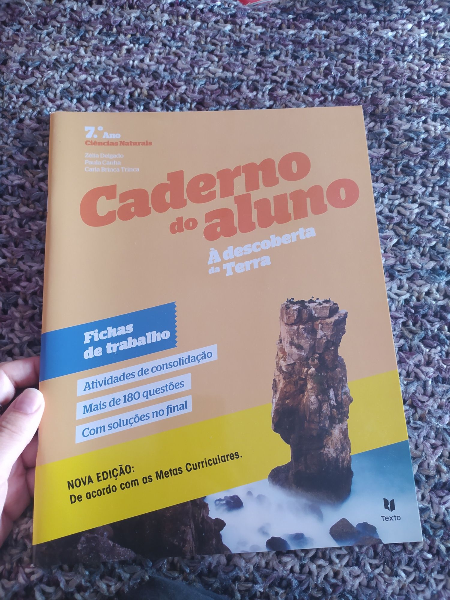 Cadernos de Atividades 7°ano