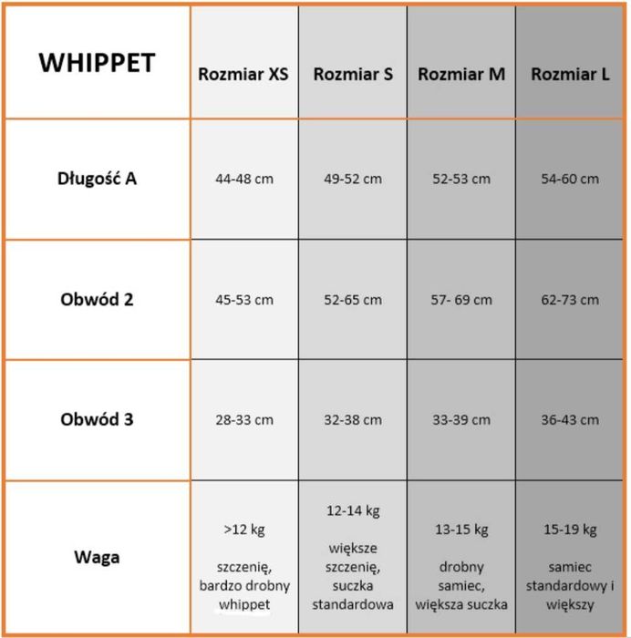 Whippet bluza z kapturem