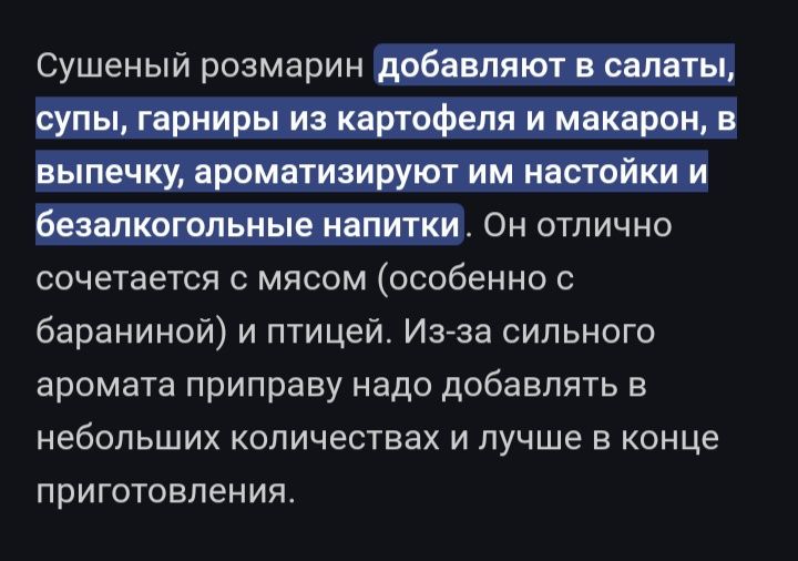 Розмарин и мята мохито рассада пряные травы