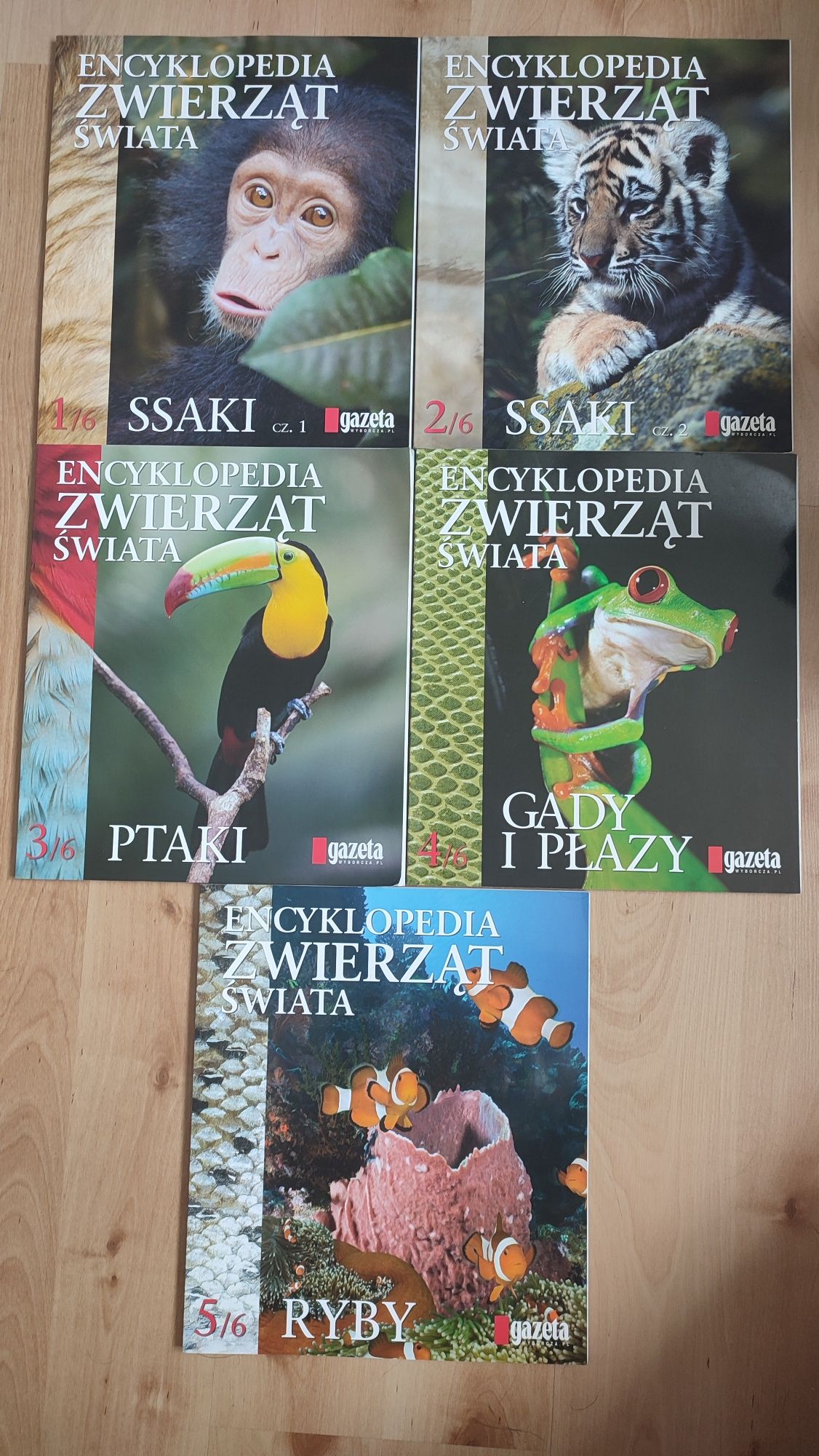 Encyklopedia zwierząt świata gazeta wyborcza