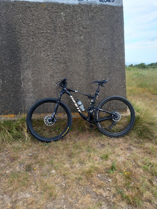 Giant anthem advanced pro 29 1