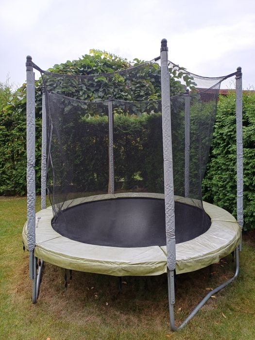 Trampolina Essential 240