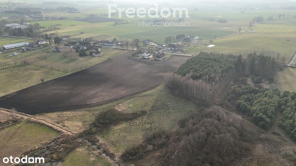 Siedlisko na sprzedaż z działką 4,23 ha.