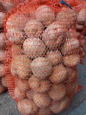 Ziemniaki IRYS 15kg Darmowa dostawa ładne zdrowe bez nawozów naturalne