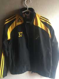 Casaco adidas AIK Estocolmo