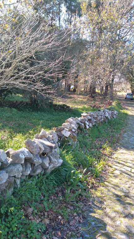 Terreno para construção em Afife em zona tranquila com bons acessos.