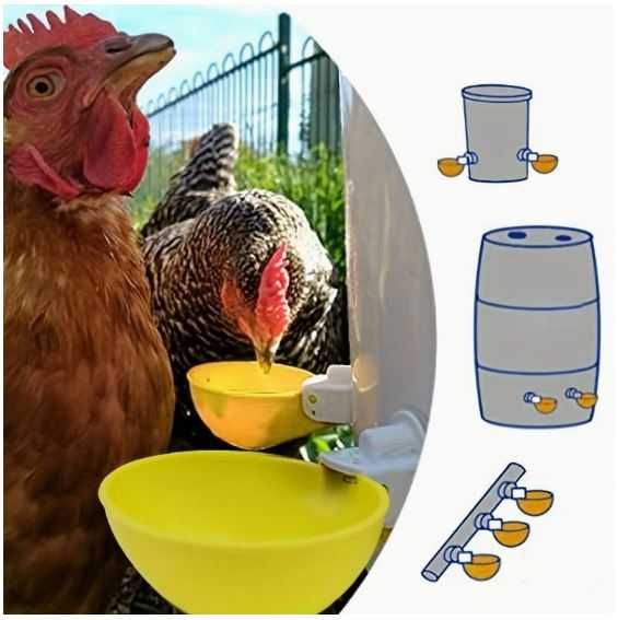 Copo Automático de Agua para Aves