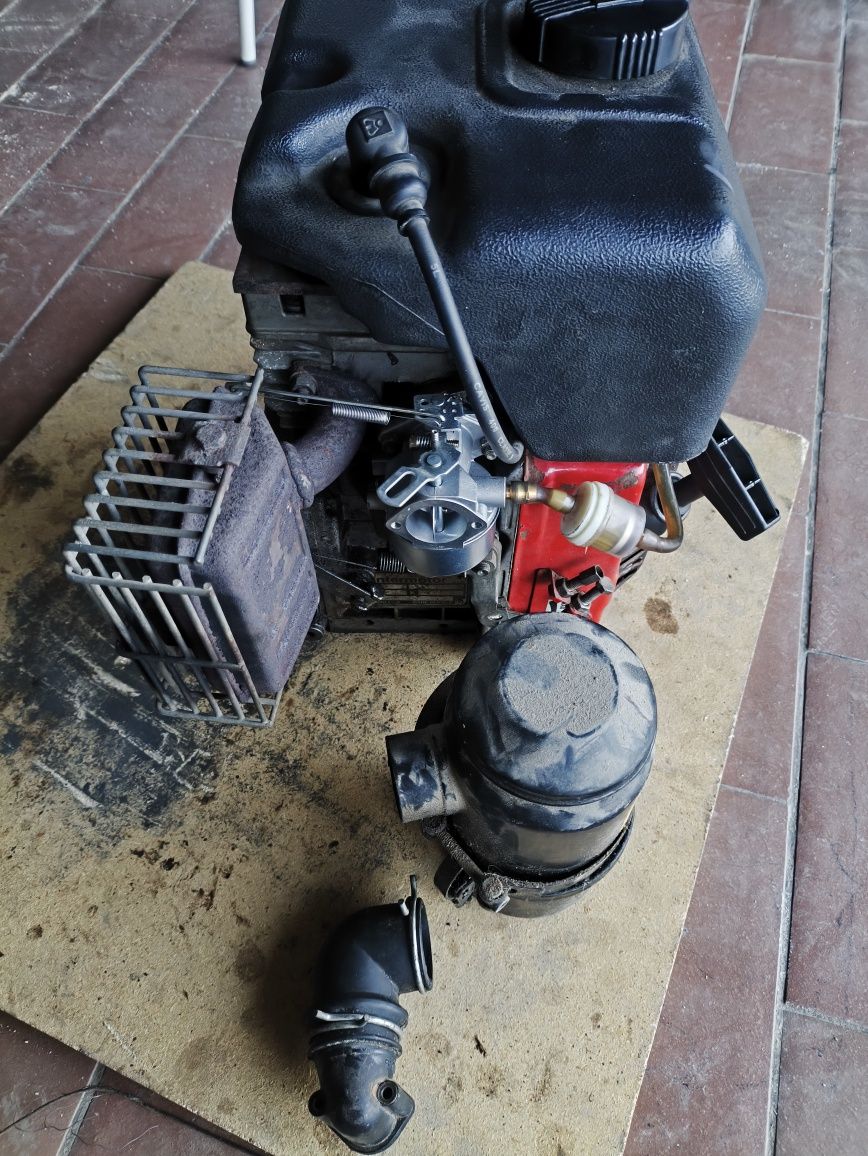 Motor lombardini LGA 225