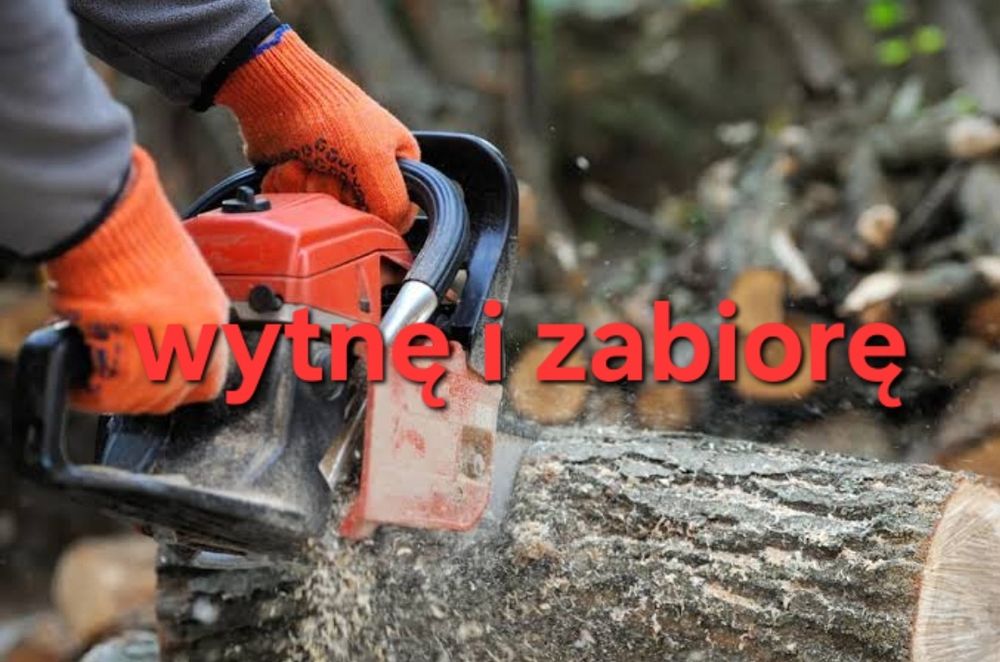 Drzewo wycinka za darmo