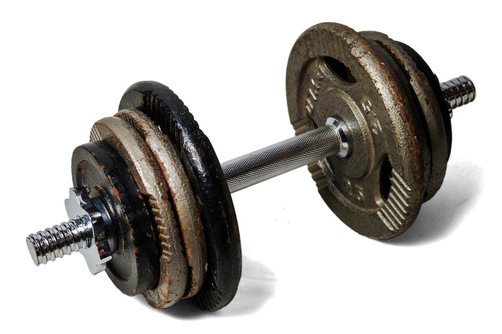 Zestaw hantli żeliwnych 12 kg