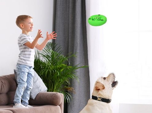 Zestaw 2 szt lateksowe frisbee dla psa pomarańczowe niebieskie piszczy