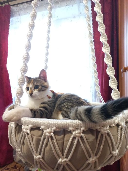 Лежак Гамак для котика