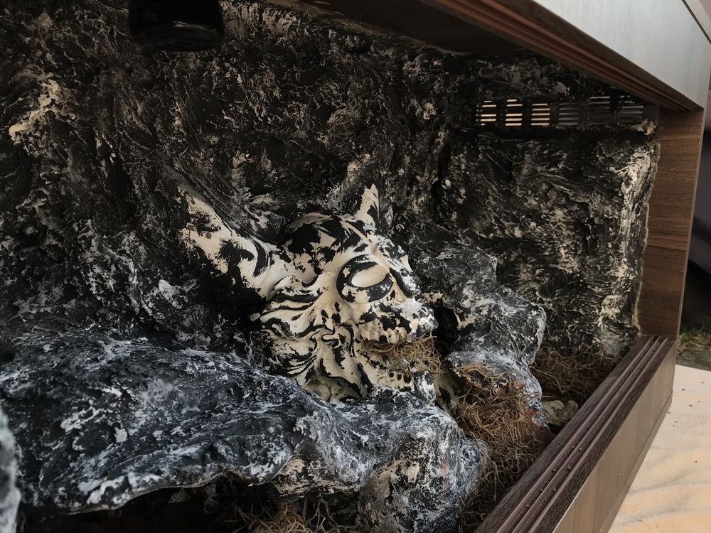 Terrarium 80/40/40 mroczne czaszki gekon wąż agama