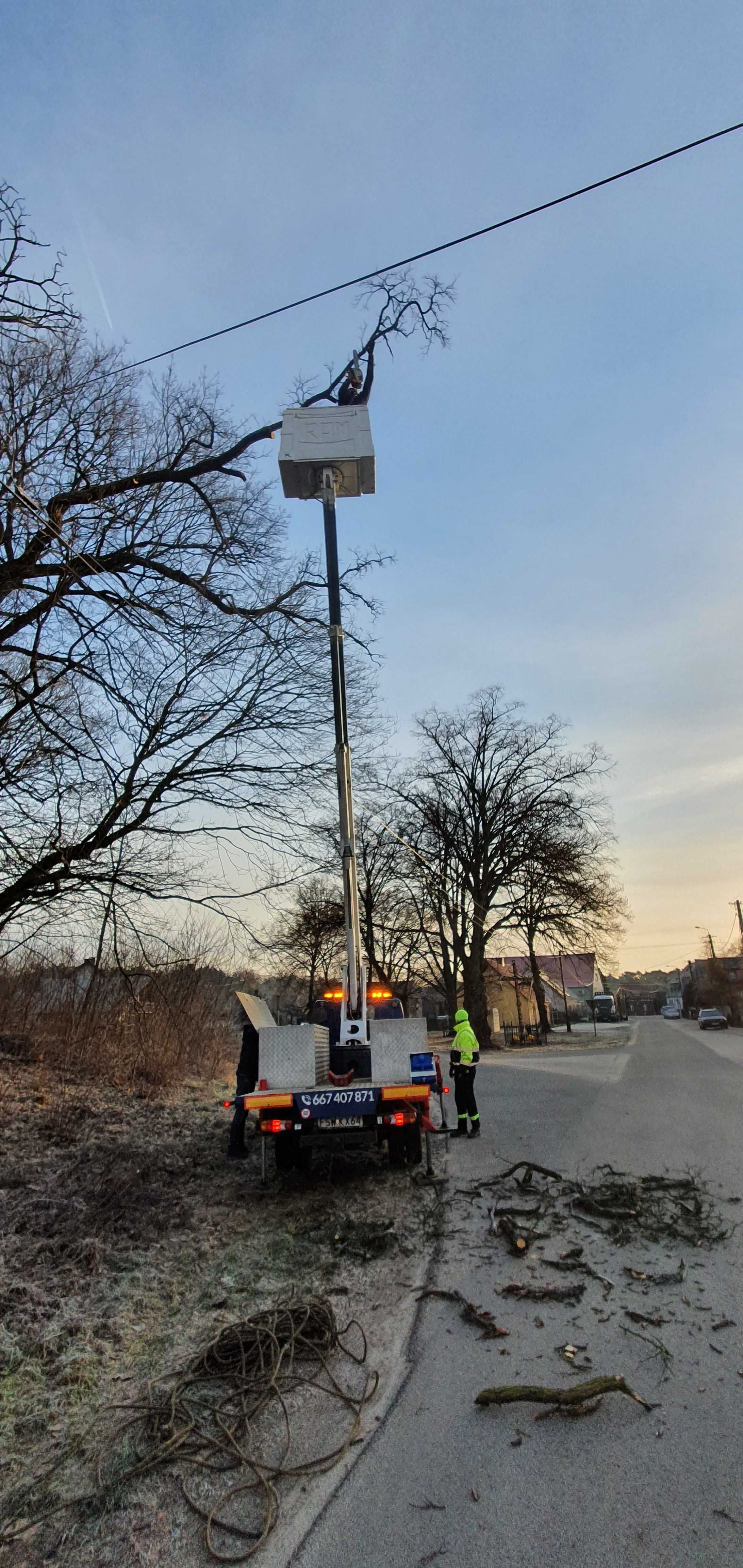 Arborysta, wycinka i pielęgnacja drzew trudnych Sulęcin i okolice