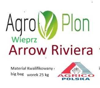 Riviera Arrow Ziemniaki sadzeniaki kwalifikat