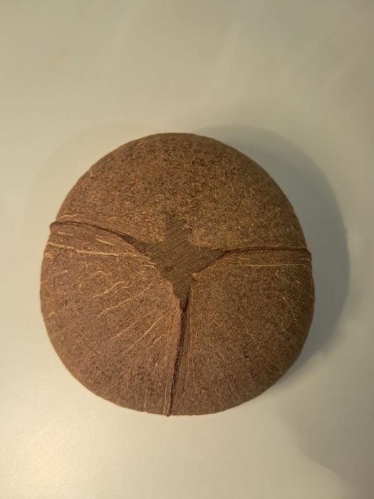 Coco pintando por dentro