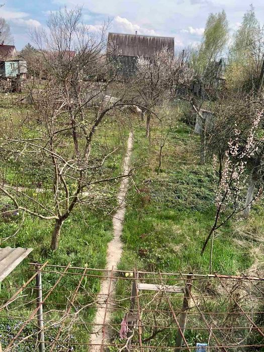 Продається дача у Фастівському районі. село Мотовилівка