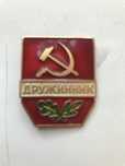 Значок «Дружинник»