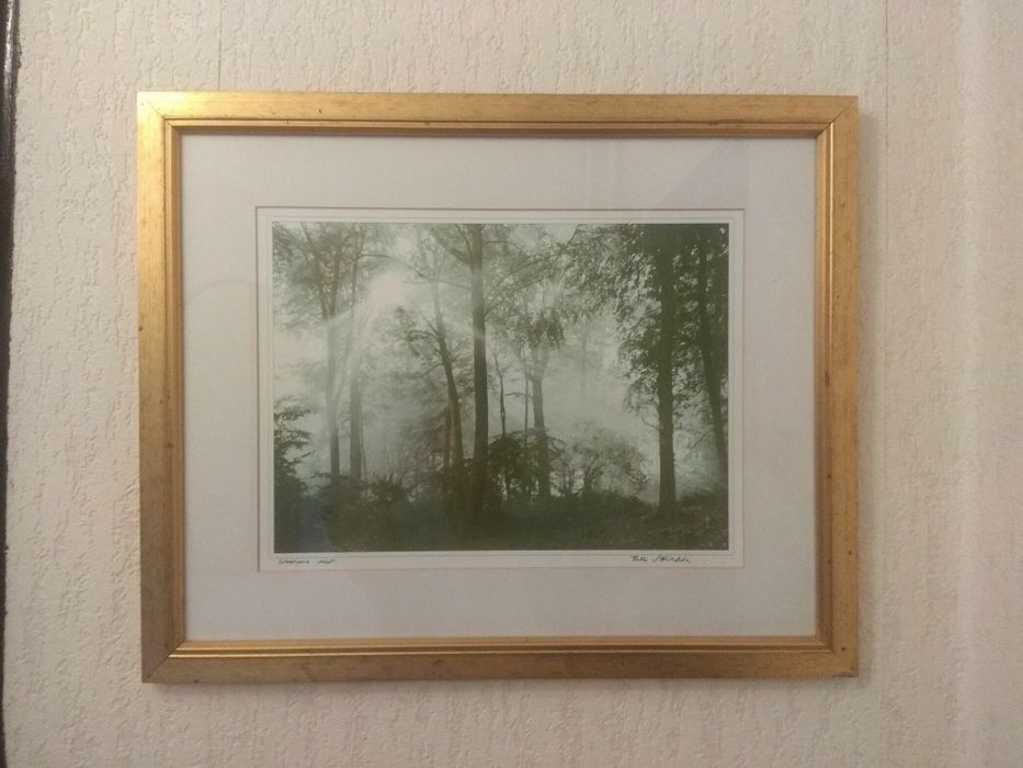 "Woodland Mist"Anglia Grafika Oprawiona