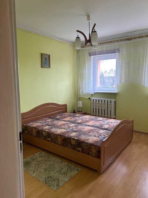 dom z ogródkiem w Świebodzinie