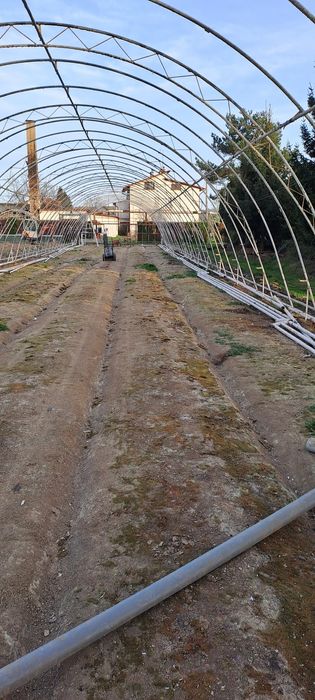 Konstrukcja tunelu foliowego