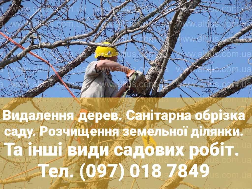 Покіс трави. Стрижка газону