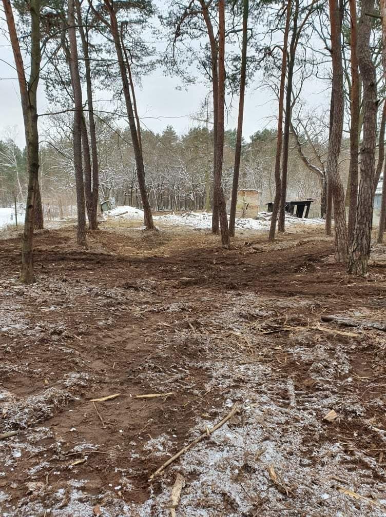 Czyszczenie działek wycinka rębak mielenie gałęzi przycinanie TANIO