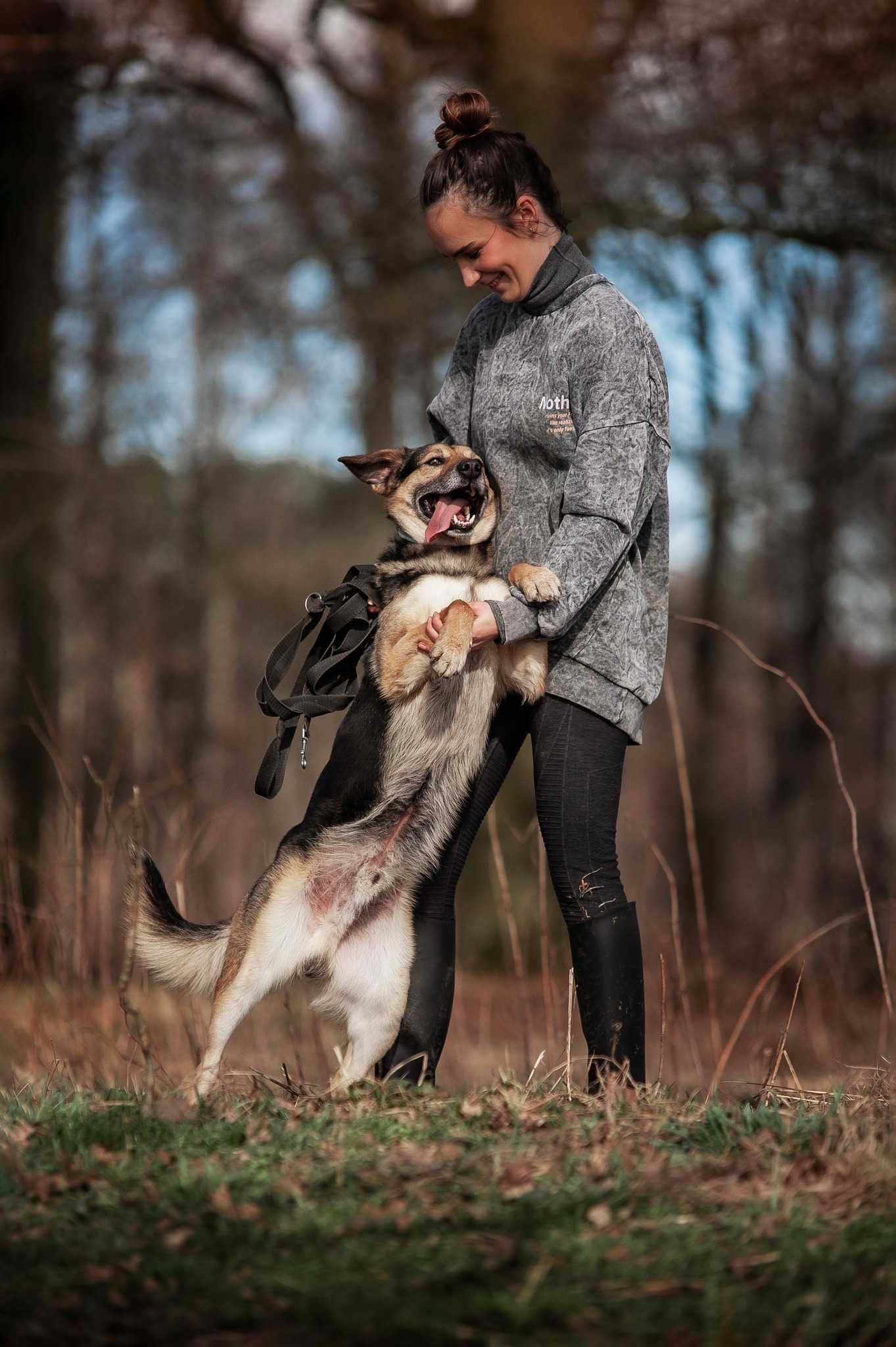 Tuliś szuka domu! mega słodziak do adopcji