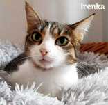 Irenka poleca się do adopcji !