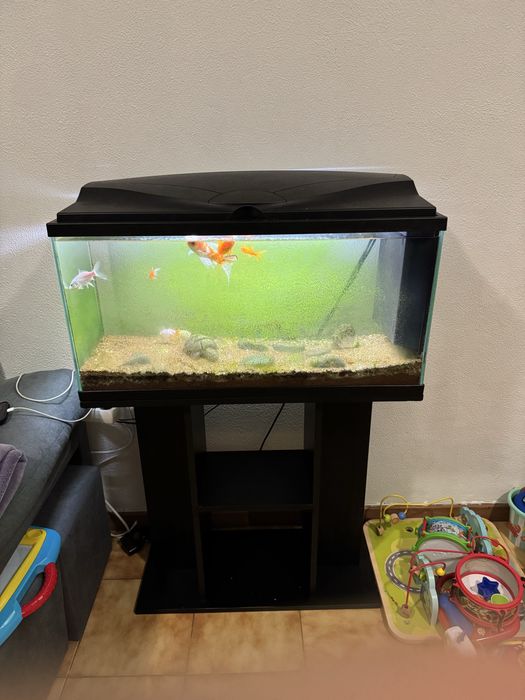 Aquario com movel