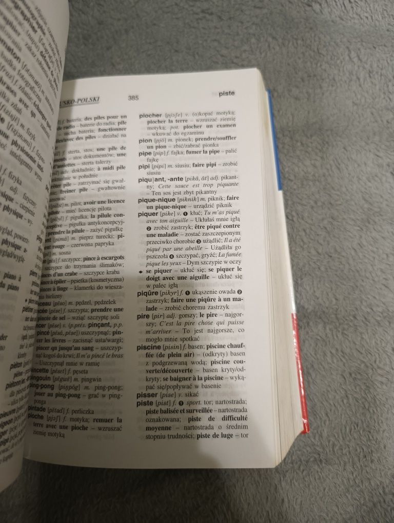 Słownik francusko-polski i gramatyka