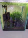 Kostka krewetkarium 25x25