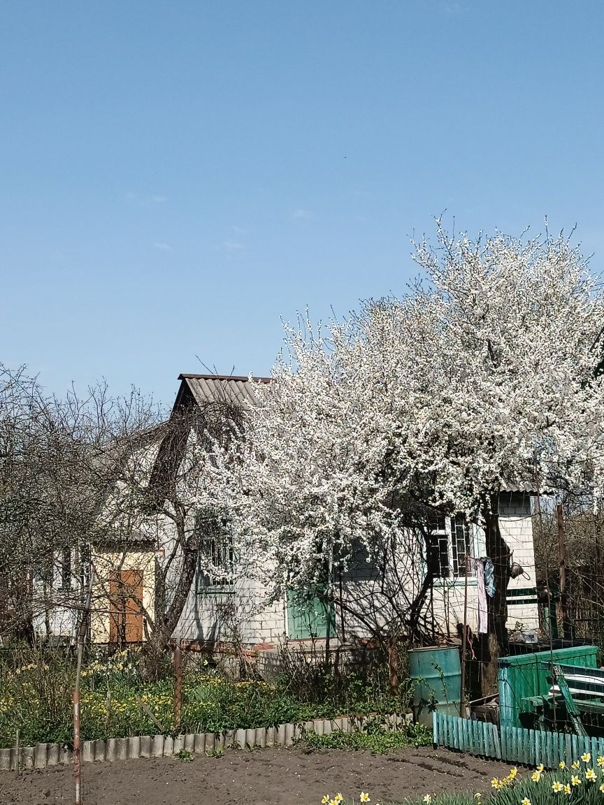 Дача в Чернігові.Подусівка.вул.Ф.Уманця .