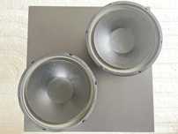 Głośniki niskotonowe SpeaKa TT180/200 30 cm 8 Ohm 200 W