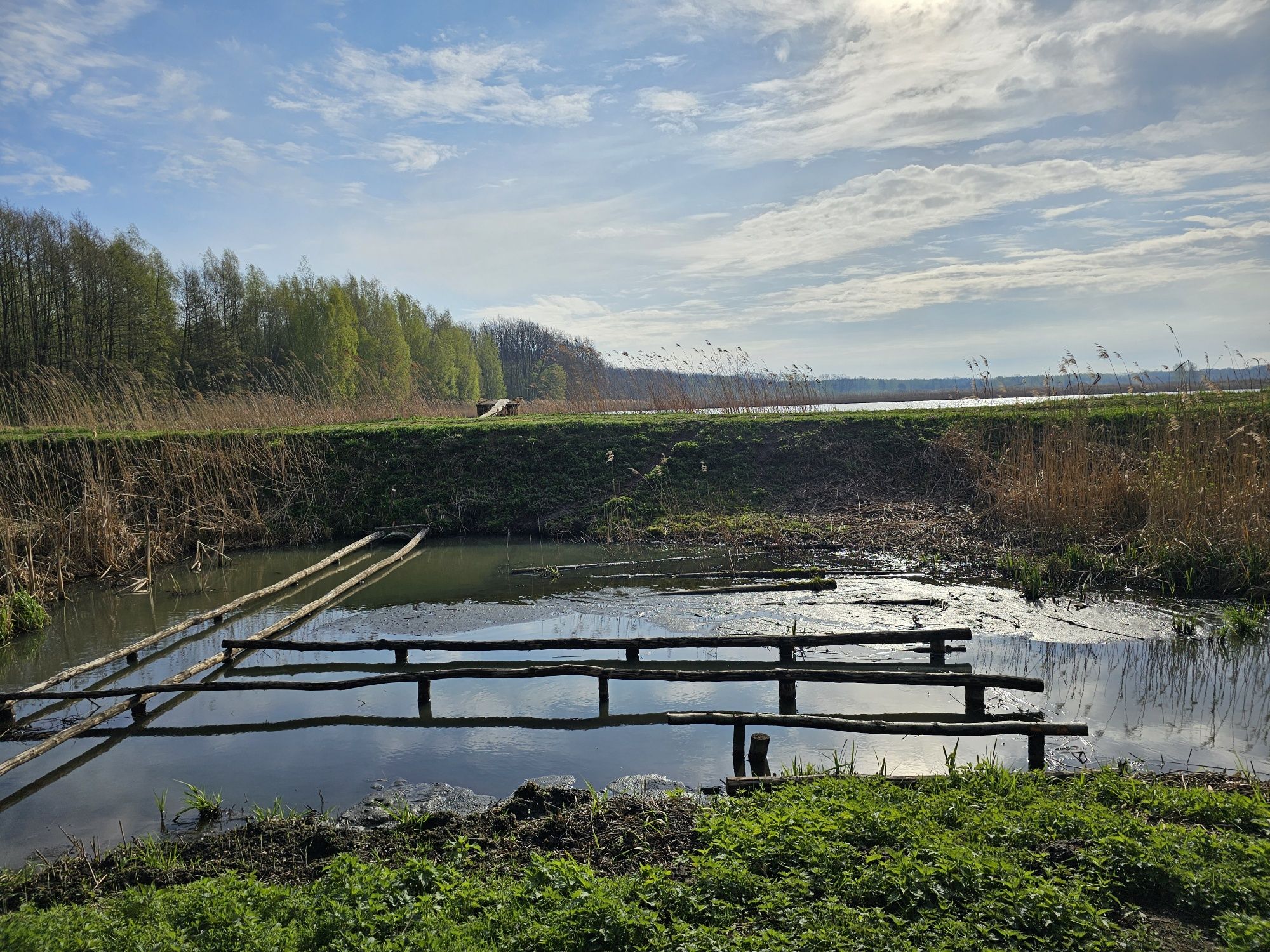 Sprzedam działkę Kaczków z WZ , 50km W-wa , 5 km Mszczonów, Okazja