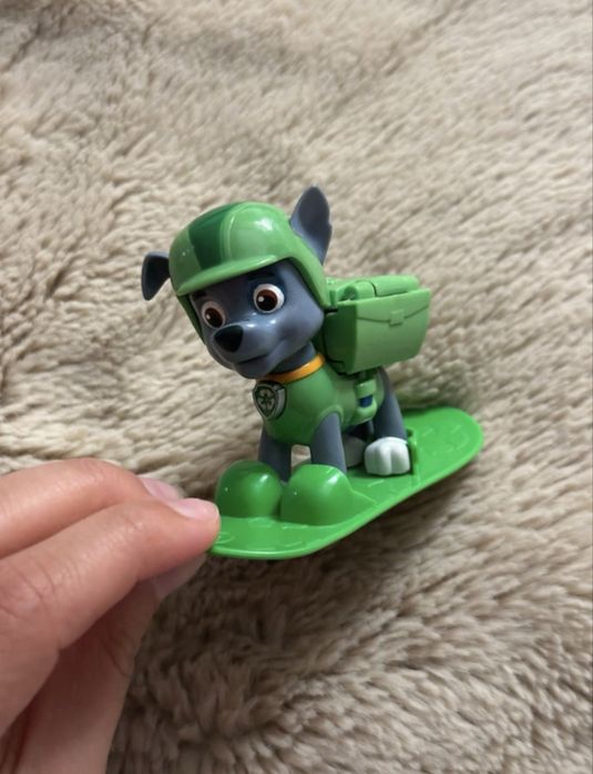 Rocky da patrulha pata