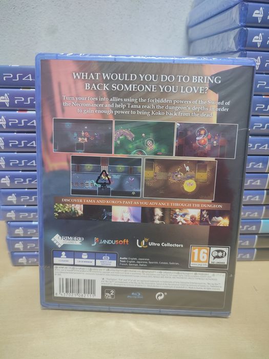 Sword Of The Necromancer Ps4