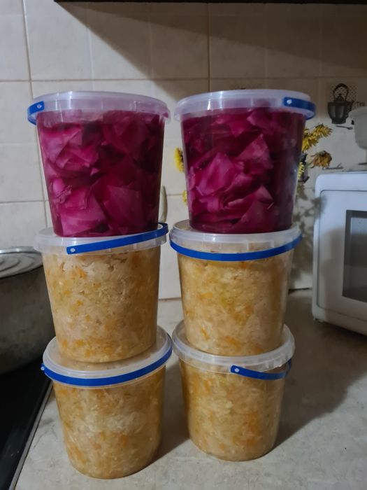 Капуста квашена.   пелюстка