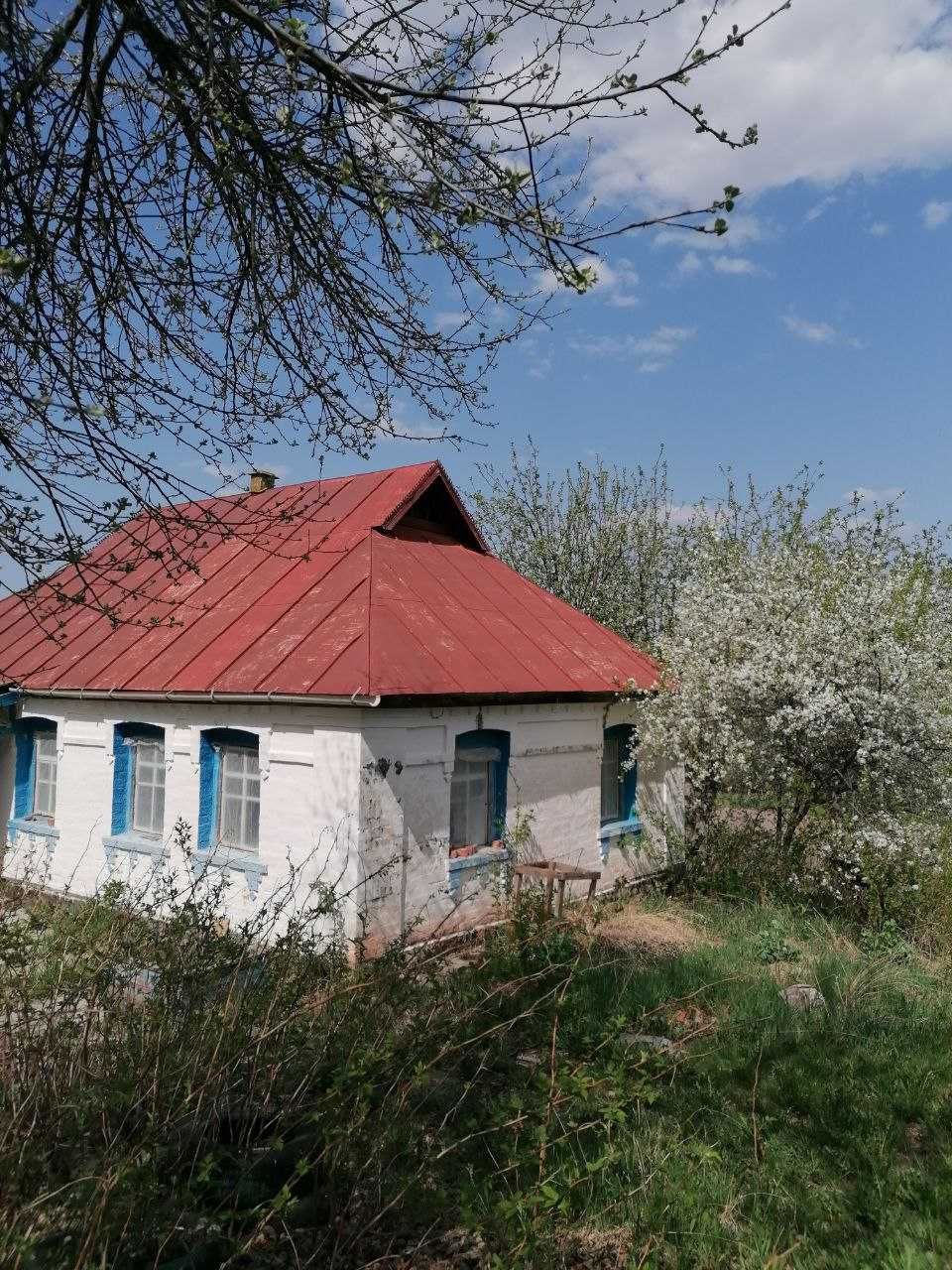 Пропозиція для поціновувачів мешкати поруч з лісом