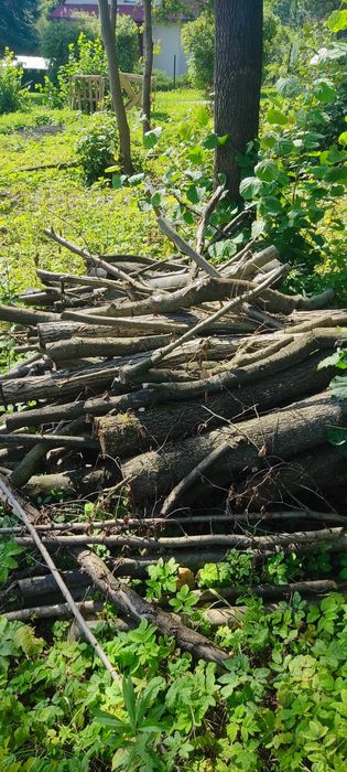 Drewno opałowe Klon, Jesion, Wierzba, Dąb