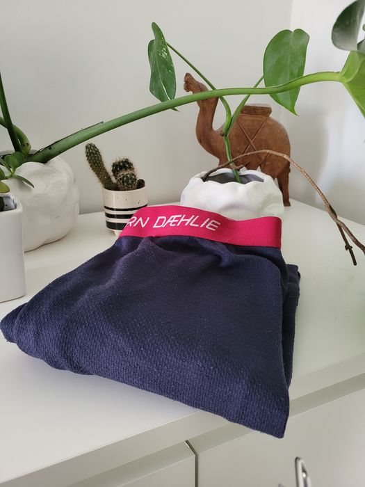 Kalesony termoaktywne bielizna termiczna narciarska merino Bjoern Daeh