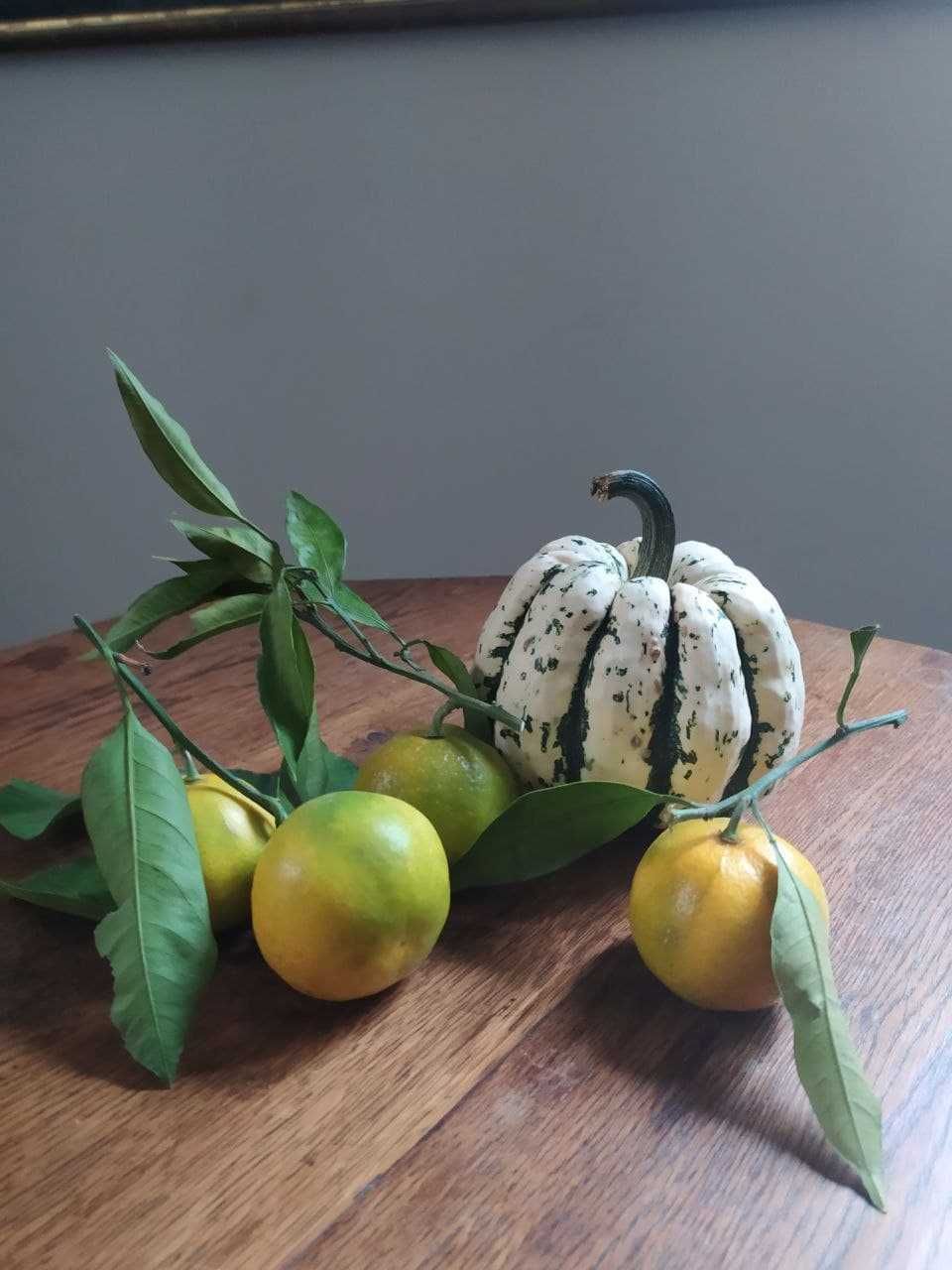 Солодкі кльоцки - декоративний гарбуз сквош тиква - насіння семена