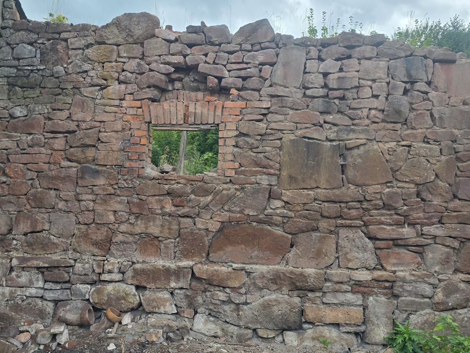 PIaskowc czerwony