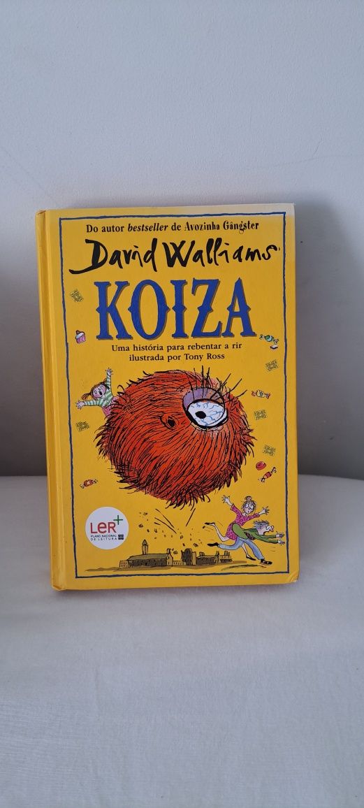 Livro a koiza de david walliams